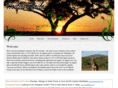 hostelsafrica.com