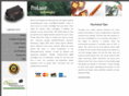 prolazer.com