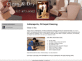 cleananddrycarpetcleaning.biz