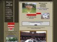 landslidesaloon.com