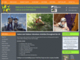 rockfrog.co.uk