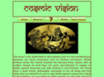 cosmicvision.info