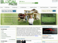 golocalpro.com