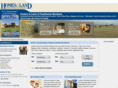 montanahomesandland.com