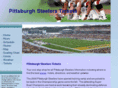 pittsburghsteelerstickets.com