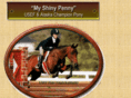 myshinypenny.com