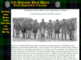 13thbattalionrhc.com