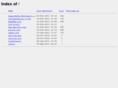 ctin483.net