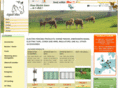 equitelec.es