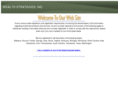 wealthstrategiesinc.com
