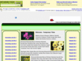 amethystone.net