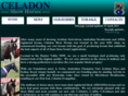 celadonshowhorses.com