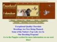 greenheadlabradors.com