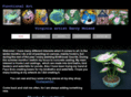 hostapainter.com