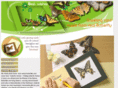 butterflyframe.com