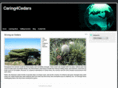 caring4cedars.com