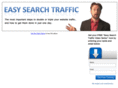 easysearchtraffic.com