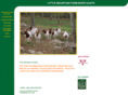 littlemountainfarm.com
