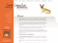 corgiconnection.com