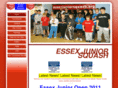 e-j-s.info