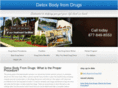 detoxbodyfromdrugs.com