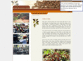 ginimao.com