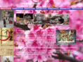 nakazatosushi.com