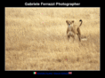 ferrazziphoto.com