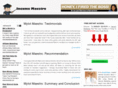 incomemaestro.com