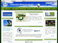 mexgolf.org
