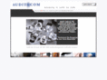 audit-com.com