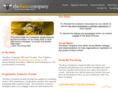 buzz-company.com