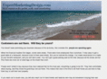 expertmarketingdesign.com