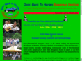 harlanbgfestival.com