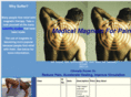 lesspainwithmagnets.com