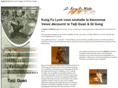 taichichuan-lyon.com