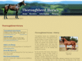 thoroughbred-horses.org