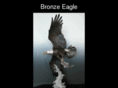bronzeeagle.com