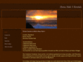 rentalsbigisland.com