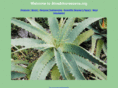 aloearborescens.org
