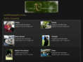 coriibphotography.com