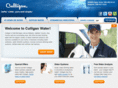 culliganmidmichigan.com