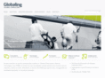 globaling.es