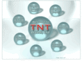 tntbrands.com
