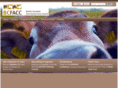 bcfacc.ca