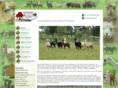 hickorybluffalpacas.com