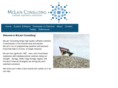 mclainconsulting.com
