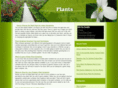 plantandflowerinfo.com