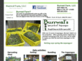 burrwalsbest.com
