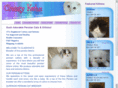 classykatzpersians.com